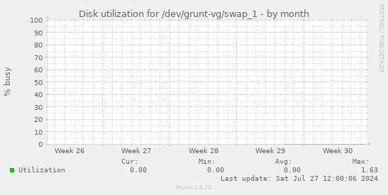 Disk utilization for /dev/grunt-vg/swap_1